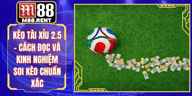 Kèo Tài Xỉu 2.5 - Cách Đọc Và Kinh Nghiệm Soi Kèo Chuẩn Xác